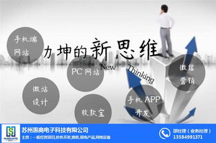 扫码点餐开发 苏州惠商电子科技在相城区提供专业解决方案与技术咨询